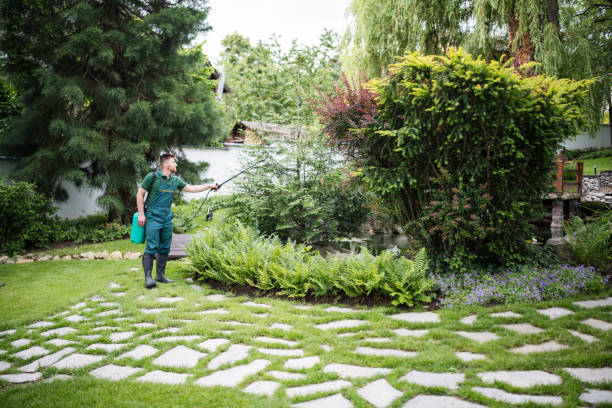 Best Affordable Pest Control Services  in Truckee, CA