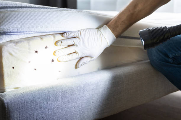 Best Bed Bug Extermination  in Truckee, CA