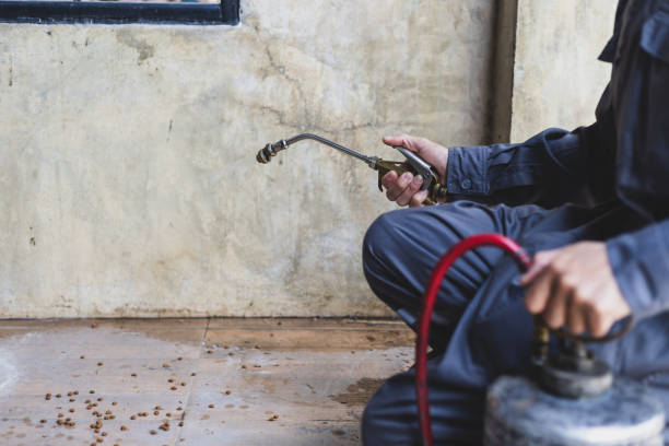 Pest Control Cost in Truckee, CA