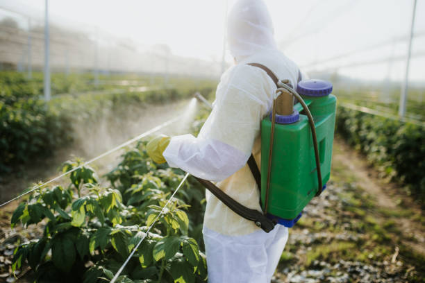 Best Pest Prevention Services  in Truckee, CA